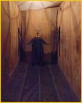 Padded Cell